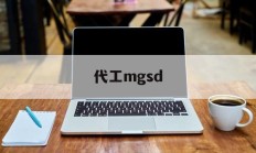 代工mgsd(代工MGSD自由高达)